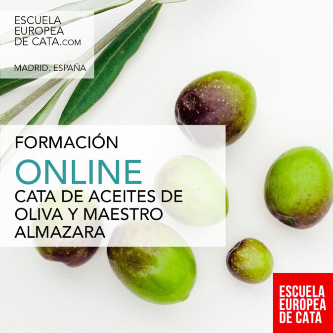 CATA-DE-ACEITES-ONLINE